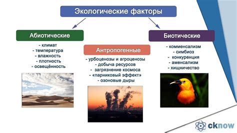 Основные места обитания