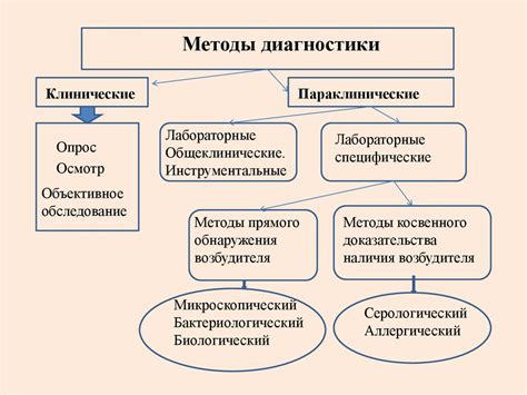 Основные методы диагностики и исследования