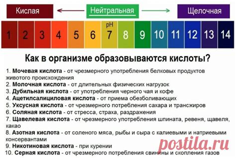 Основные принципы кислотно-щелочного баланса