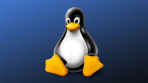 Основные принципы работы операционной системы Linux