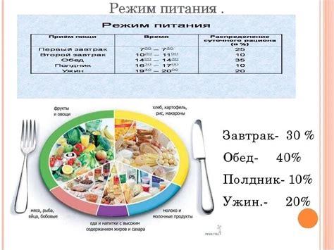 Основные принципы составления пищевого рациона