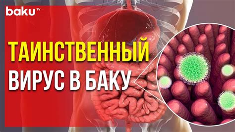 Основные причины распространения вируса