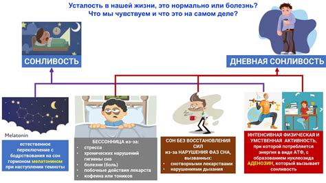 Основные причины сонливости днем