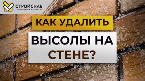 Основные факторы формирования высолов на кирпиче