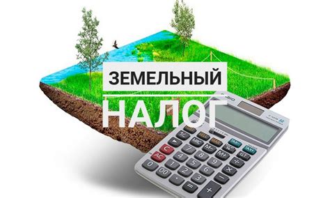 Основы земельного налога: предмет налогообложения и важные моменты