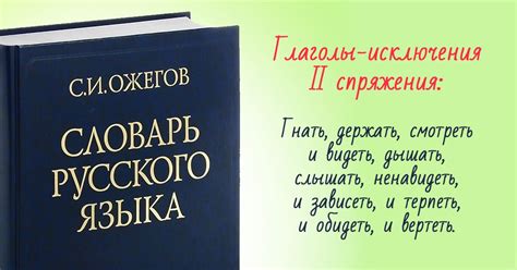 Основы русского языка