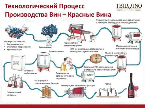 Особенности брожения и выдержки белого вина