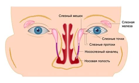 Острое воспаление слезных каналов