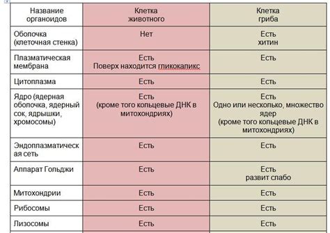 Отличия в именах и сходства во внешности