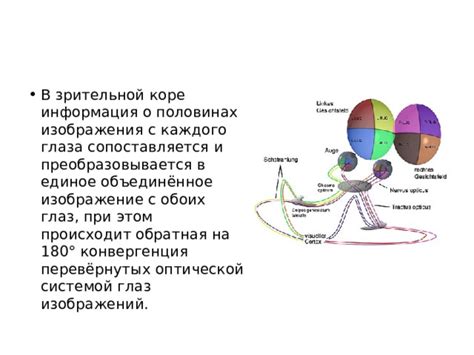 О проблеме с зрительной функцией