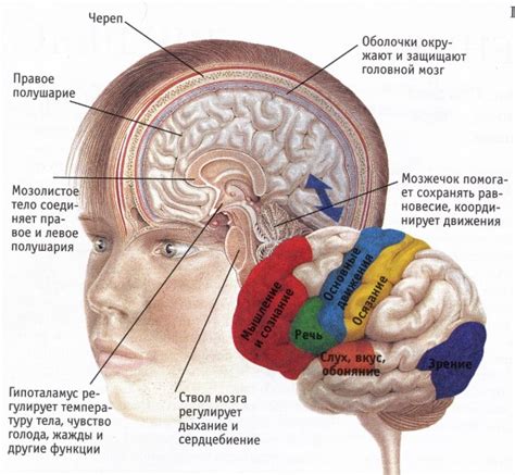 Патология центральной нервной системы: основные причины