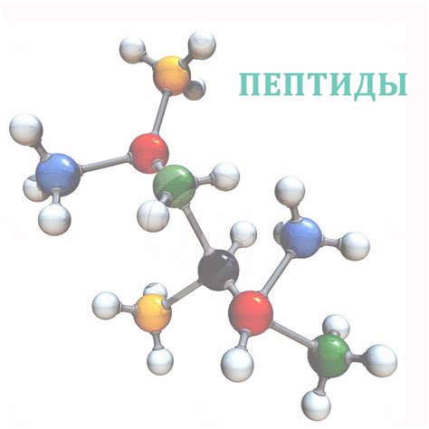 Пептиды: что это такое?