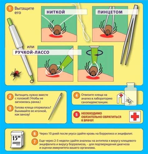 Первая помощь и медикаменты