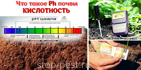 Переоценка значимости раскисления почвы для картофеля