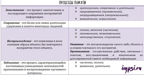 Переработка информации в мозге: механизмы работы бокового зрения