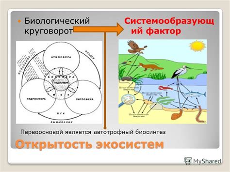 Перестройка экосистемы Земли