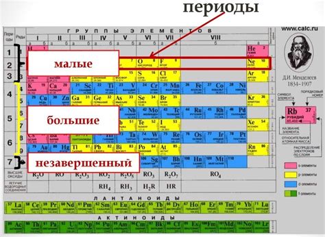 Периоды активности и питания сома