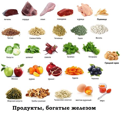 Питание при малокровии: список продуктов для повышения уровня гемоглобина