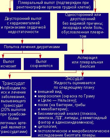 Плевральная шварта справа: