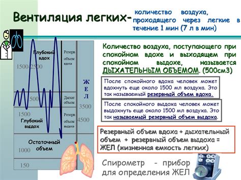 Плетизмография: альтернативный метод измерения жизненной емкости легких