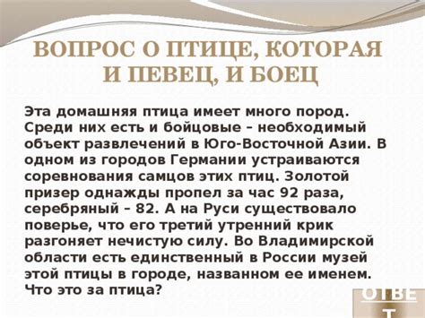 Поверье о птице на окне