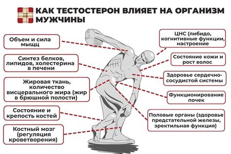 Повышение уровня тестостерона