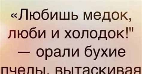 Поговорка "любишь медок люби и холодок": значение и происхождение