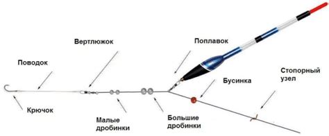 Подбор правильного снаряжения для ловли карася