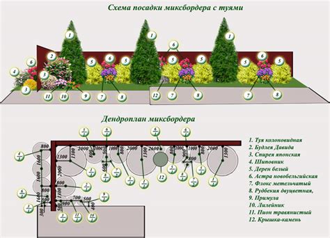 Подготовка забора для посадки растений