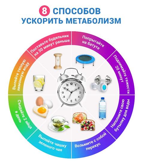 Поддержка здорового обмена веществ и улучшение физической выносливости