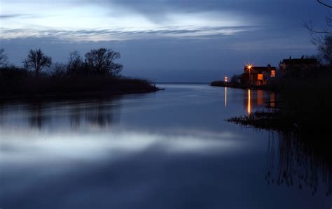 Поиск пищи вблизи водной глади