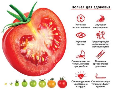 Полезные свойства перекрученных помидор для здоровья