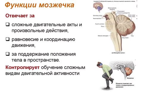 Положительные эффекты на координацию и равновесие