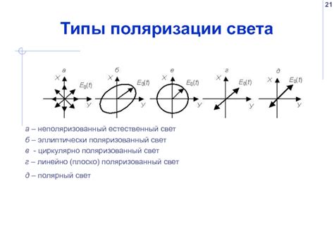 Поляризация света и ее свойства