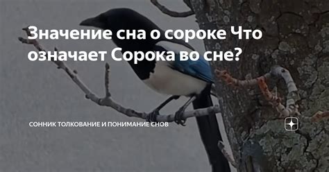 Понимание символической значимости снов о переезде