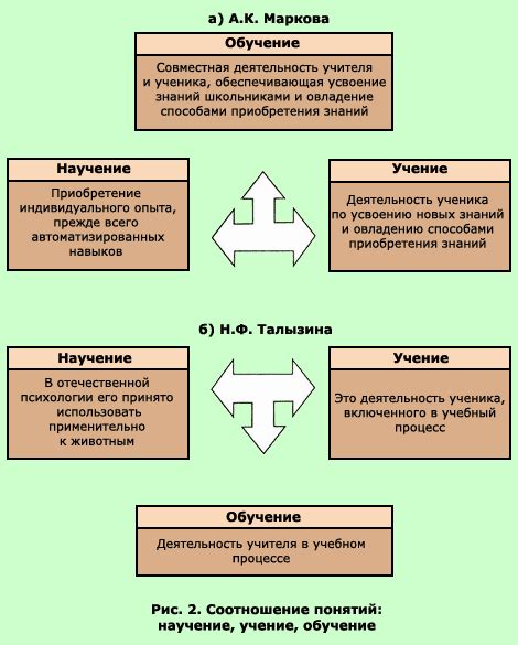 Понятие и основные характеристики гимназии