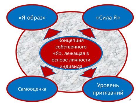 Понятие отчета и его особенности