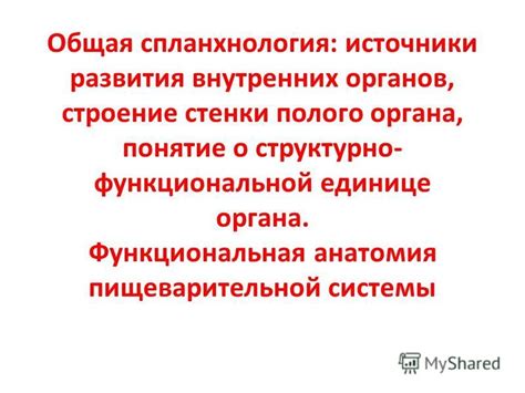 Понятие структурно функциональной единицы