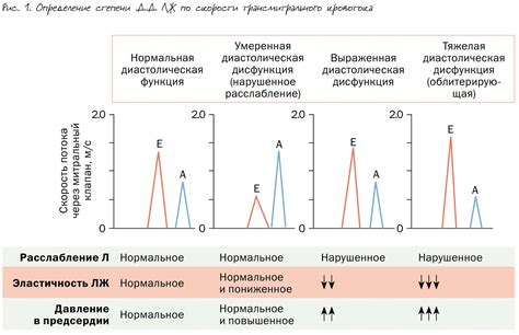 Последствия диастолической дисфункции псевдонормального типа