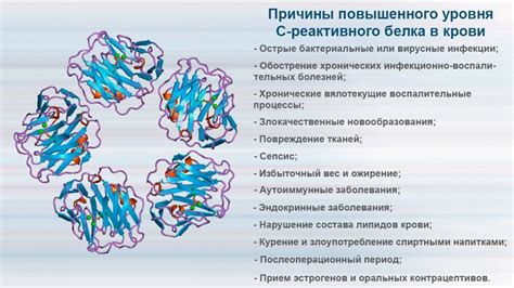 Последствия повышенного уровня СрБ в крови и способы нормализации