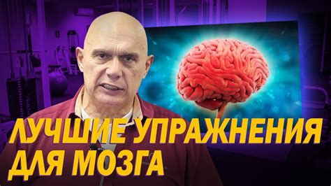 Постоянная тренировка ума для укрепления сосудов мозга