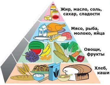 Постоянное питание сбалансированными продуктами