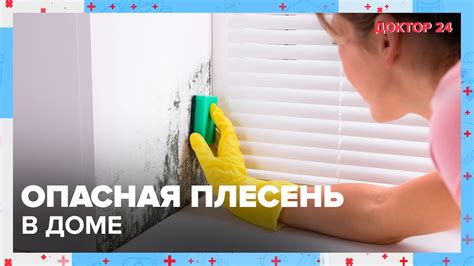 Потенциально опасная плесень, которую следует избегать