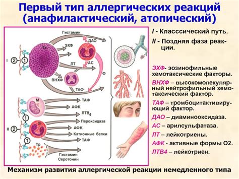 Появление аллергических реакций на паразитов