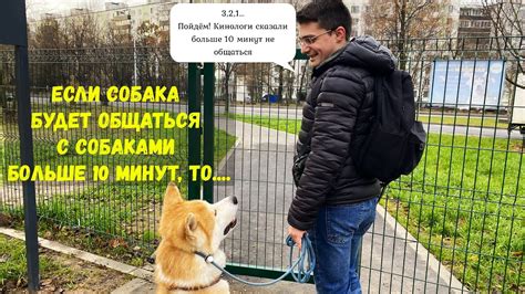 Появление конфликтов с другими собаками