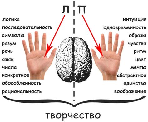 Правая рука и ее функции