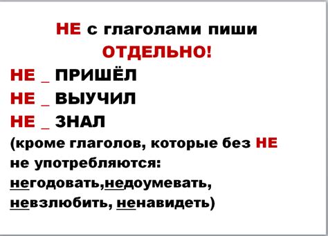 Правила правописания глаголов в фразе "Что бы я не делала"