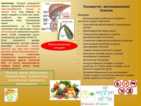 Правильное питание для желчекаменной болезни