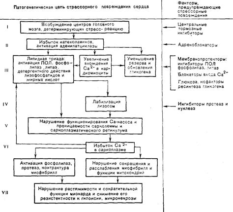 Предупреждение повторных повреждений