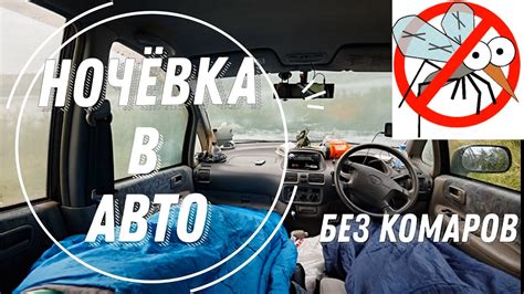 Предупреждение появления насекомых на автомобиле